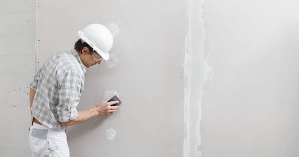 Best Attic Mold Removal  in Cadiz, OH
