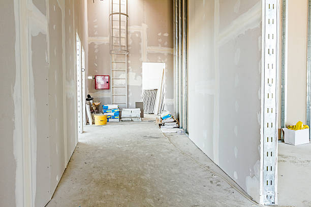 Professional Mold Removal in Cadiz, OH